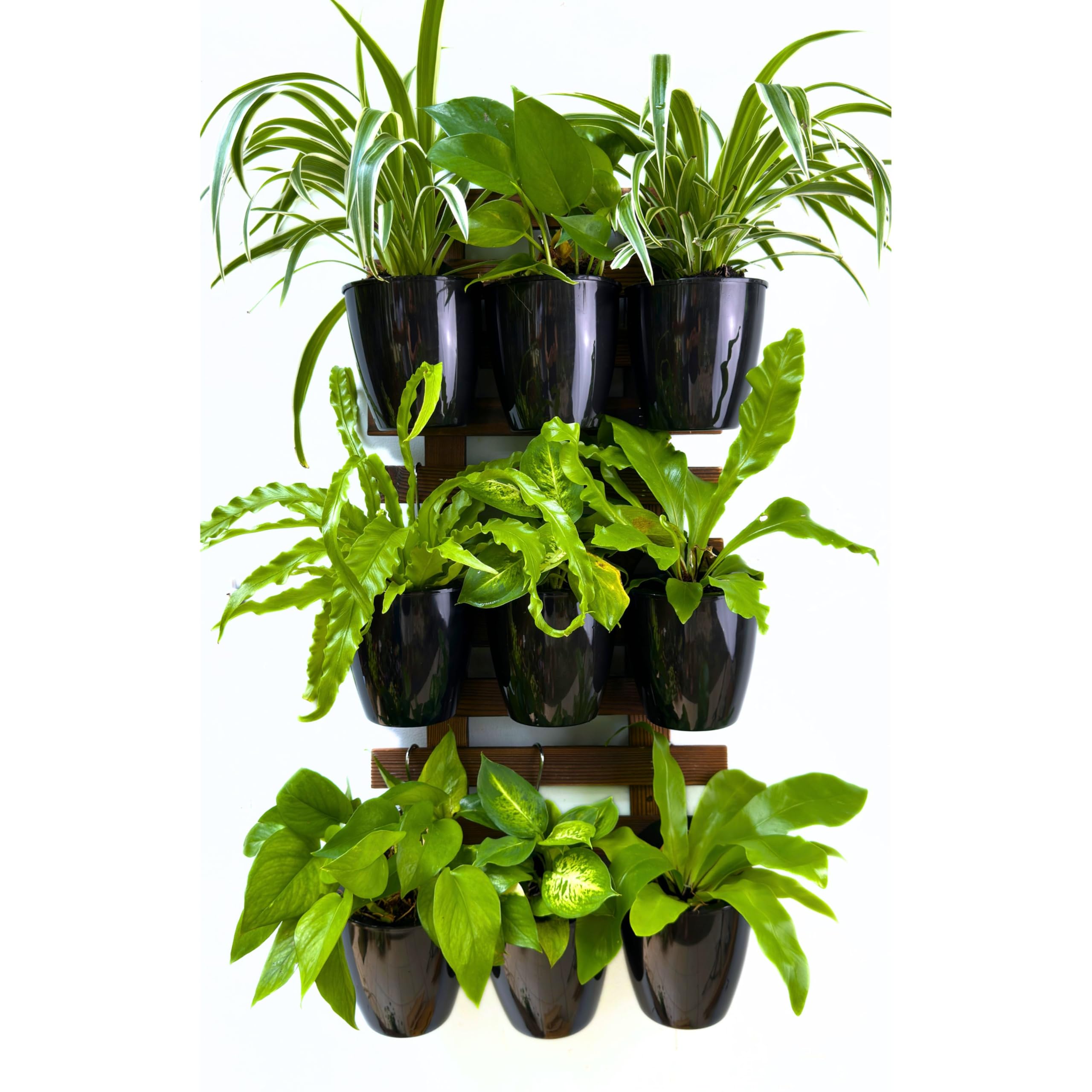 LaLaGreen Doniczki ścienne do roślin domowych, 10 sztuk, 13 cm, czarne, samonawadniające się doniczki ścienne, ekologiczny system doniczek ściennych, do salonu, wiszących doniczek, modny żywy ogród,