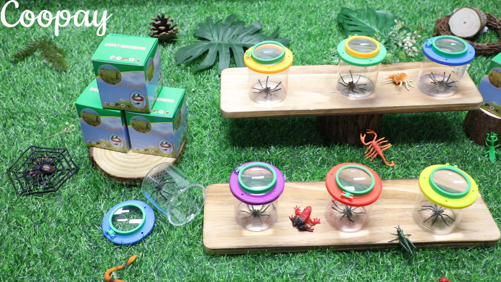 Amazon.com: Coopay 3 Pieces Magnifying Insect Box - Bug Viewer