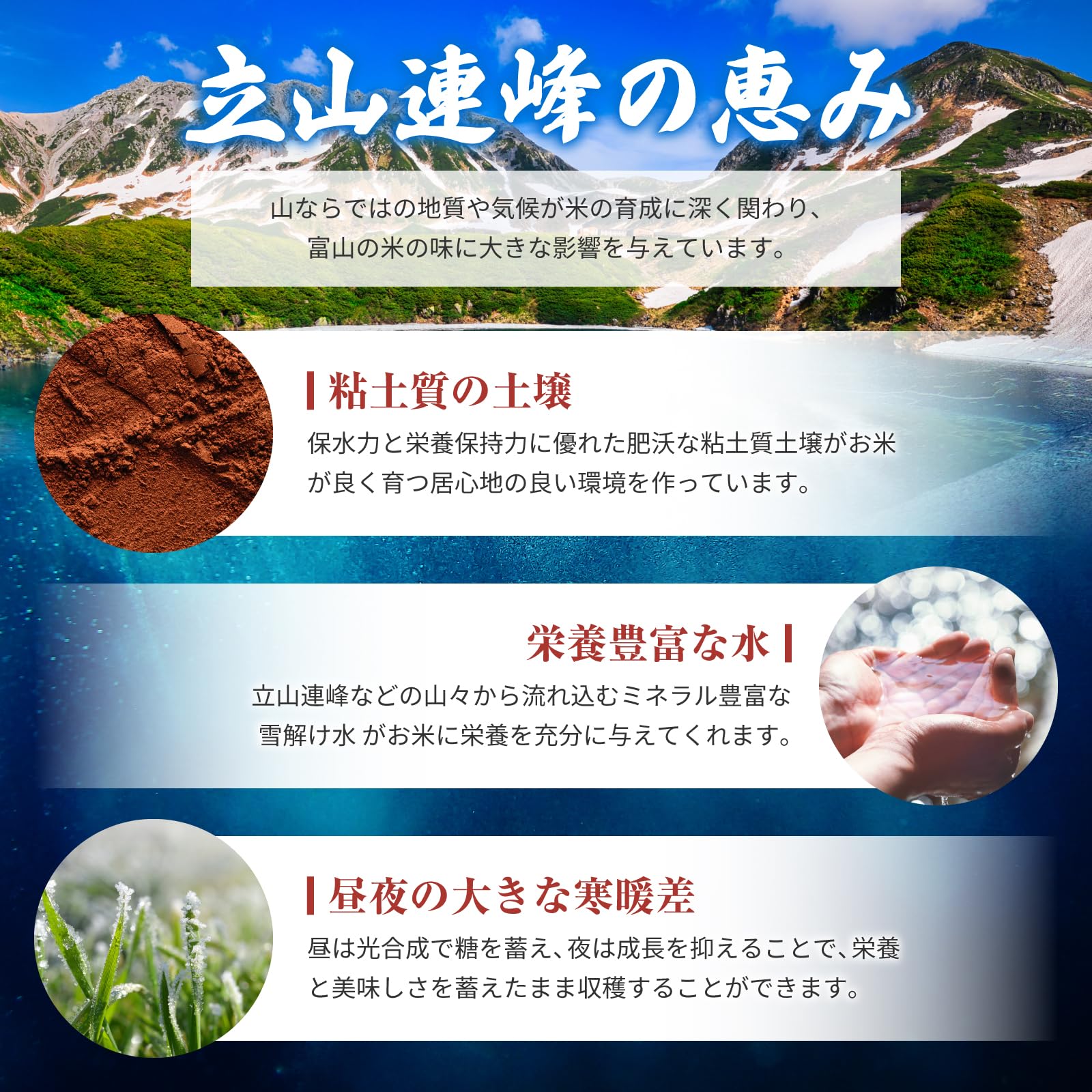 Amazon.co.jp: 富山産 コシヒカリ 令和7年産 5kg 精米 冷めても