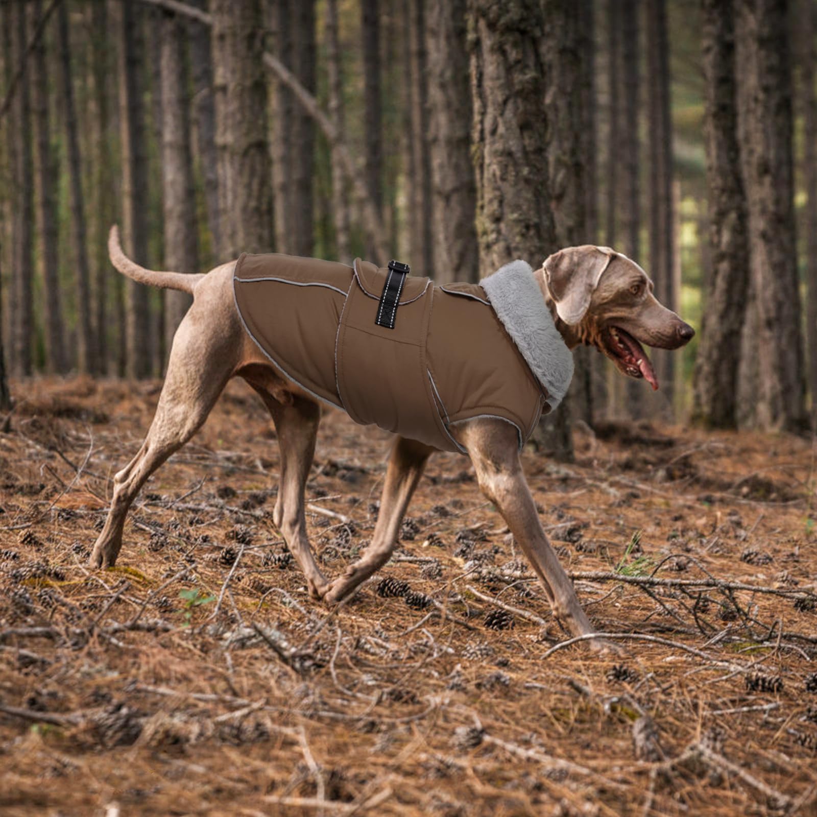 Lelepet Manteaux et vestes chauds pour chiens, manteau d'hiver imperméable pour chien par temps froid, veste matelassée réfléchissante pour chien, manteau pour animal de compagnie avec doublure