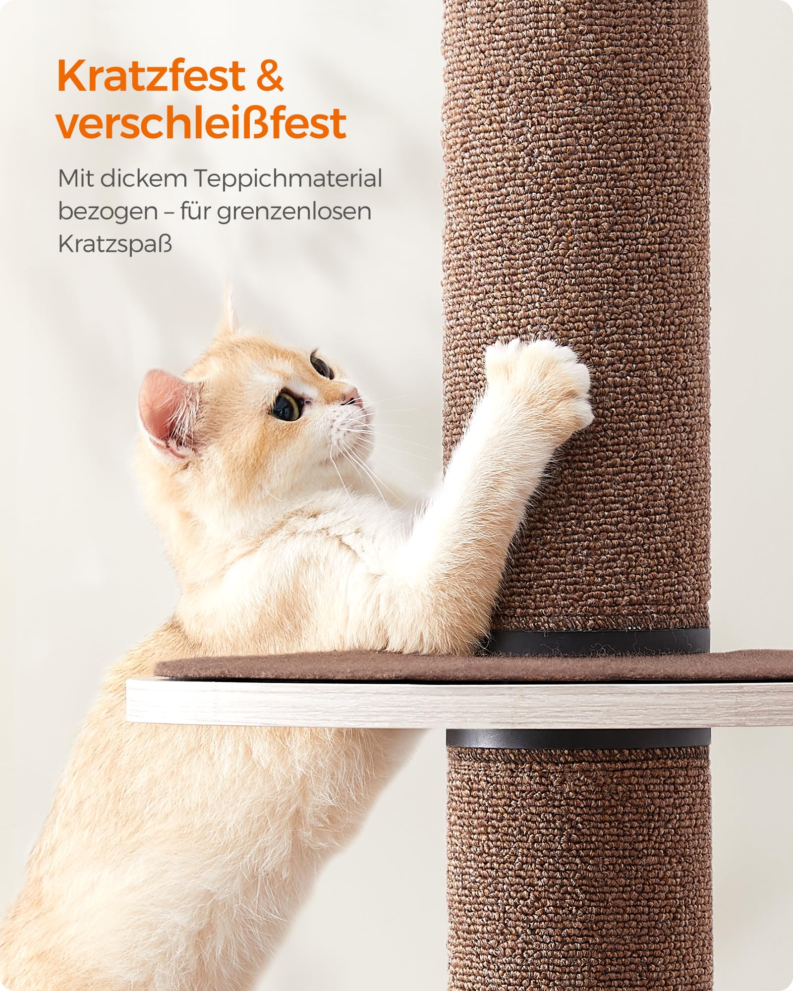 bestes trockenfutter fr pudel Waldlufer | Premium Trockenfutter fr Hunde
