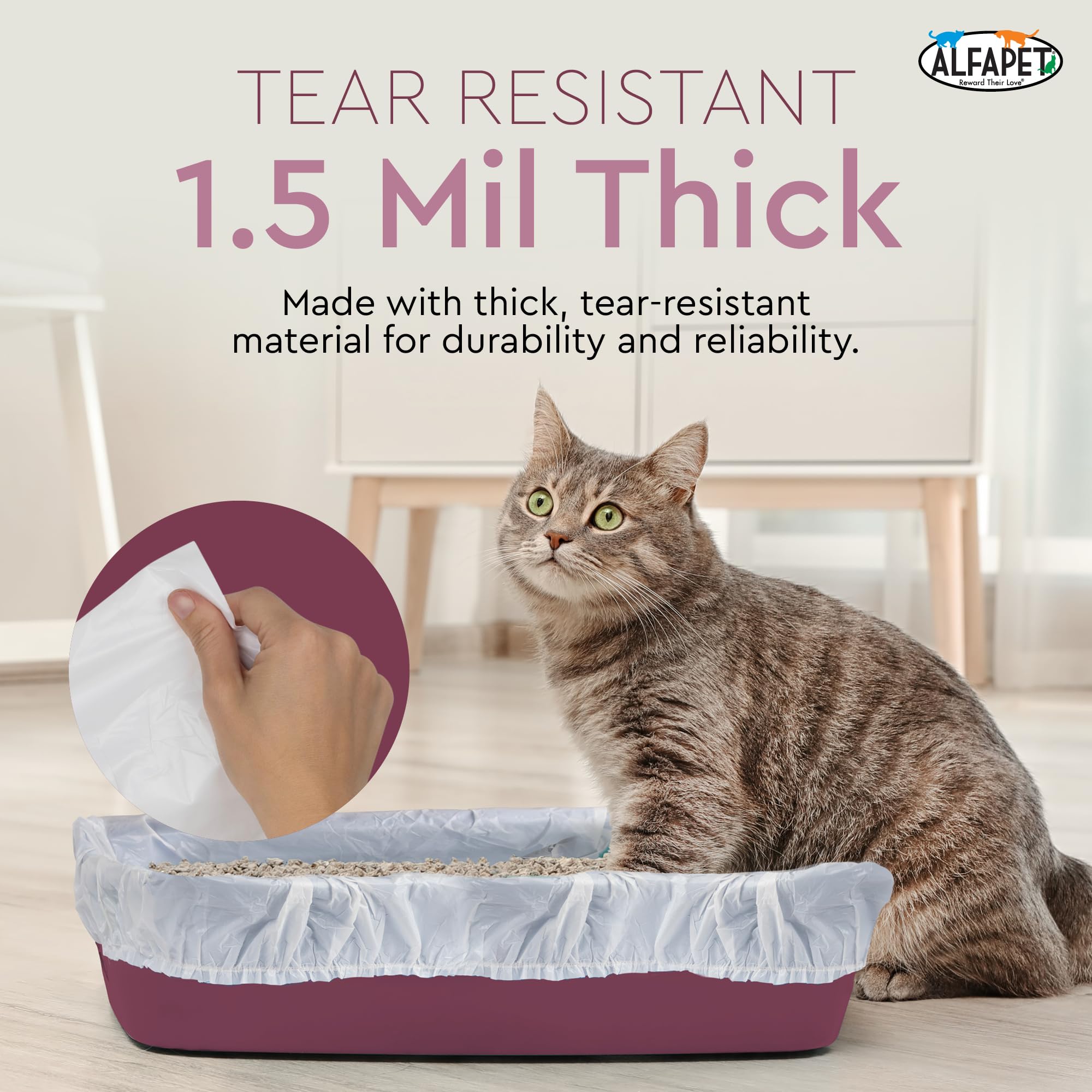 Alfapet Kitty Katzentoilette, Einweg, elastische Einlagen, 12 Stück für mittlere und große Katzentoiletten, mit Sta-Put Technologie für feste, schnelle und clevere Abfallreiniger, 4 Stück