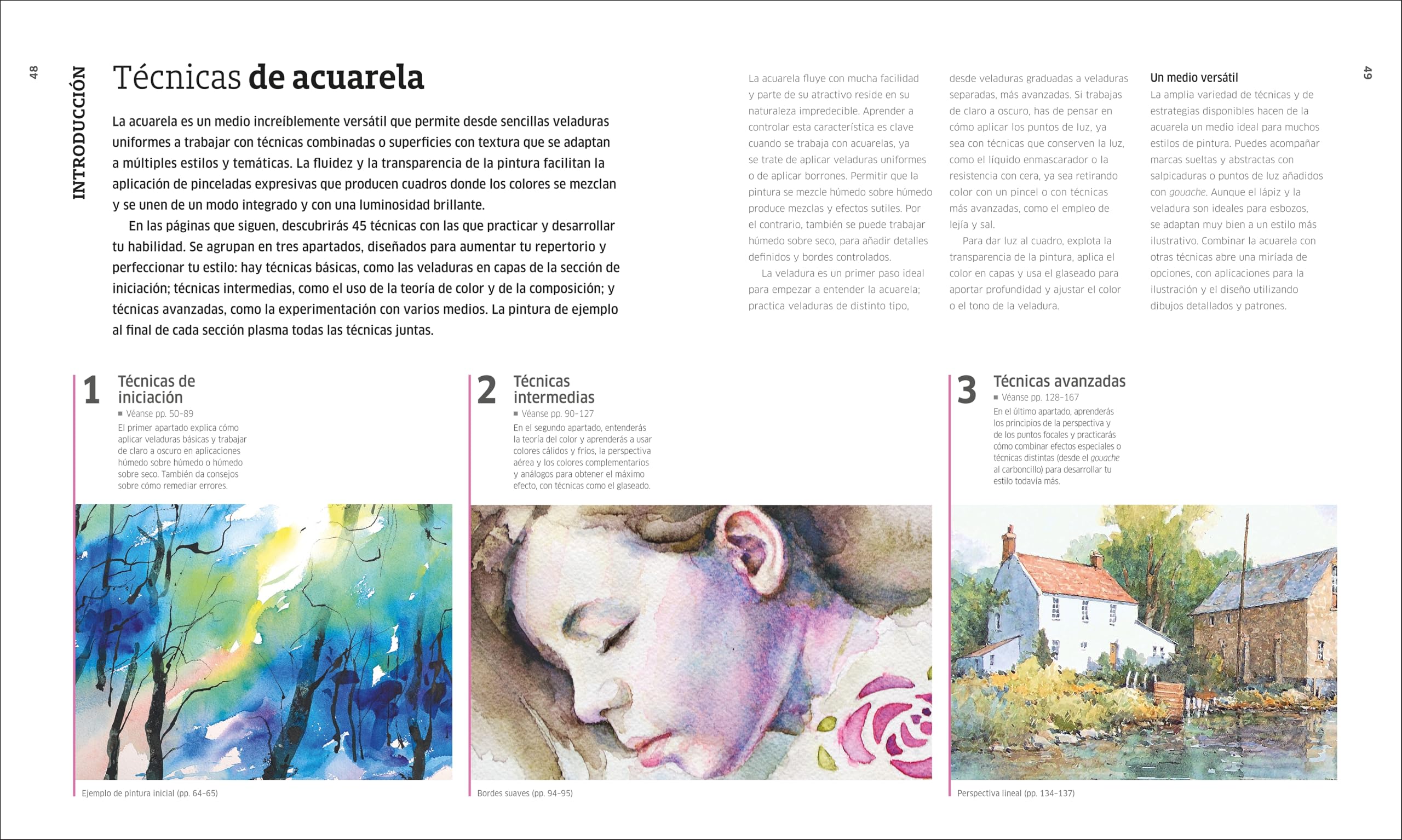 Acuarela. Técnicas artísticas: Aprende todas las técnicas, pinta paisajes y retratos y desarrolla tu propio estilo (Hobbies)
