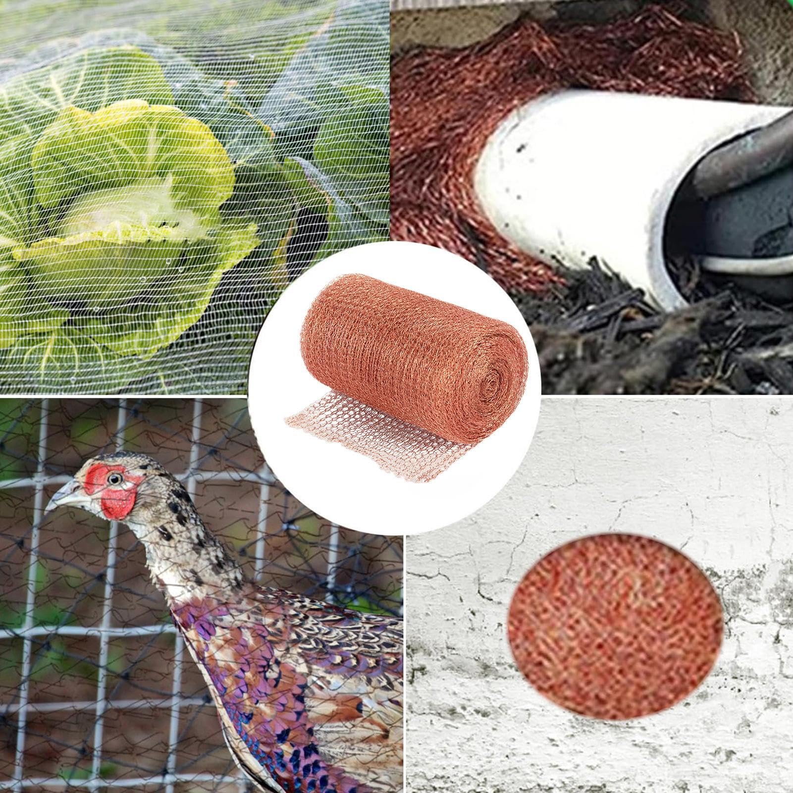 Rouleau De Grillage En Cuivre 6 M X 127 Mm - Protection Anti-rongeurs, Limaces, Oiseaux