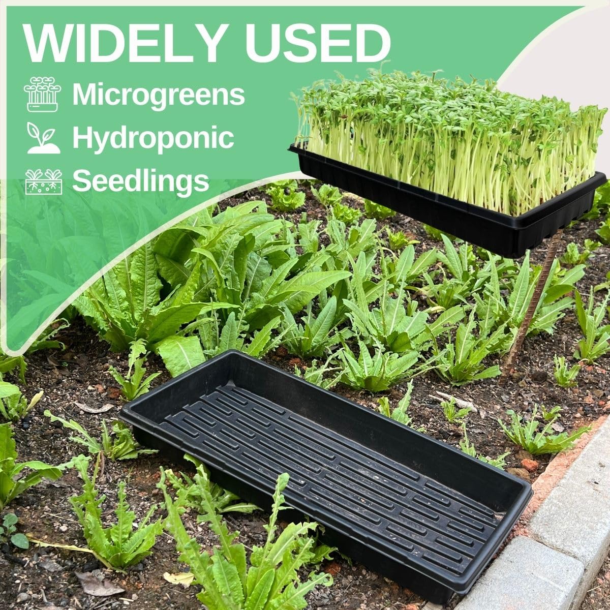 1020 Bandejas Microgreens Bandeja de semillas para vivero de jardín, bandejas de cultivo de microvegetales sin agujeros, paquete de 10