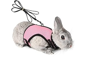 Premium Pettom Bunny Harness and Leash Set