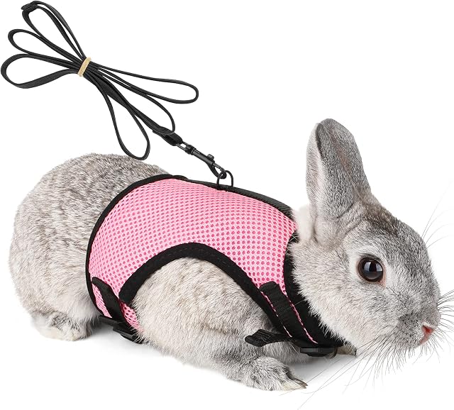 HAPPY HACHI Soft Rabbits Harness with Elastic Lead, Adjustable Bunny Rabbit Harness and Leash Set, Mesh Vest for Hamsters Small Cats Rats Guinea Pig Walking(L, Pink)