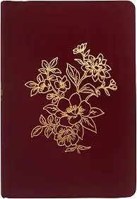 Bíblia NVI Bible Journaling, tecido vinho sobre capa dura, com espaço para anotações, Leitura Perfeita, Falei com Amor: Bíblia Sagrada Nova Versão Internacional