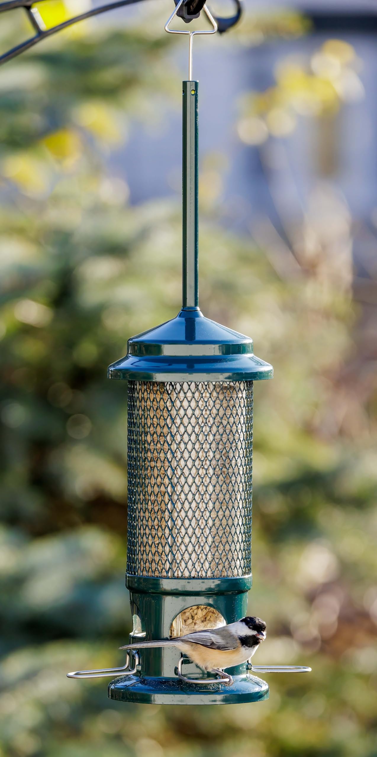 Squirrel Buster Comedero estándar para pájaros a Prueba de Ardillas con 4 Perchas de Metal, Capacidad de Semillas de 1.3 Libras