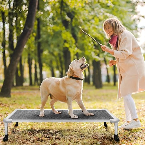 Miniatura 2 de Veehoo Cama elevada para perros a prueba de mordidos, cuna elevada para mascotas, marco de aluminio plateado y tela de malla de textileno duradera,