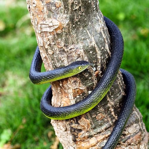 Miniatura 6 de 6 serpientes de goma realistas de jardín falsas para mantener a los pájaros alejados, asustan a las ardillas en 2 tamaños de 47 pulgadas y 29