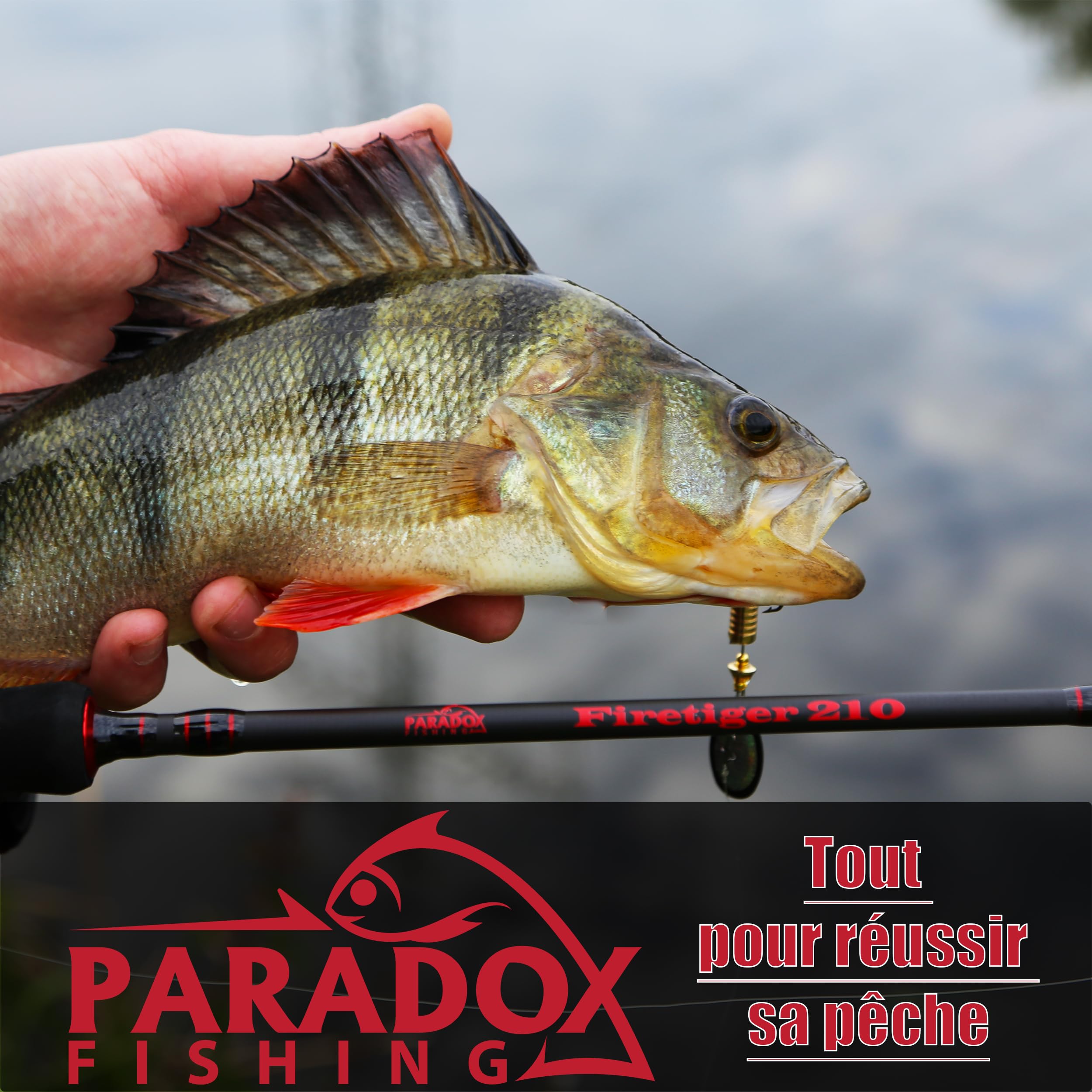 Lot Têtes Plombées Paradox Fishing 2/0 à 5/0 (5-28g) - 25 Pièces Pour Leurres Souples, Sandre, Perche