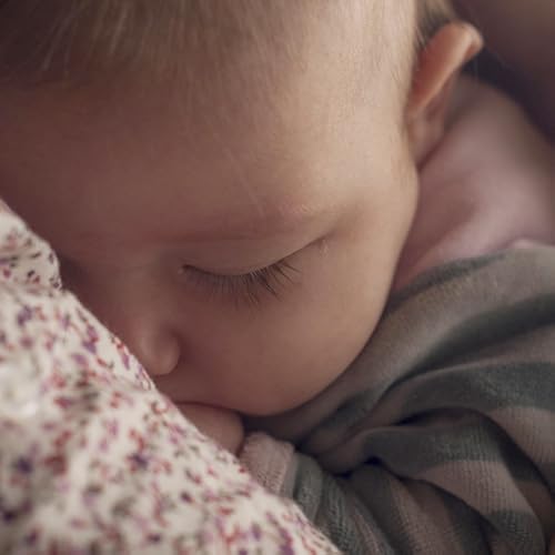 Female Phases - //medicalbooks.filipinodoctors.org