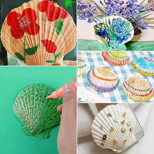 Miniatura 4 de gopiter Pequeñas conchas marinas para decorar  Almeja blanca natural a granel de 1.2 pulgadas  Conchas marinas naturales para manualidades de