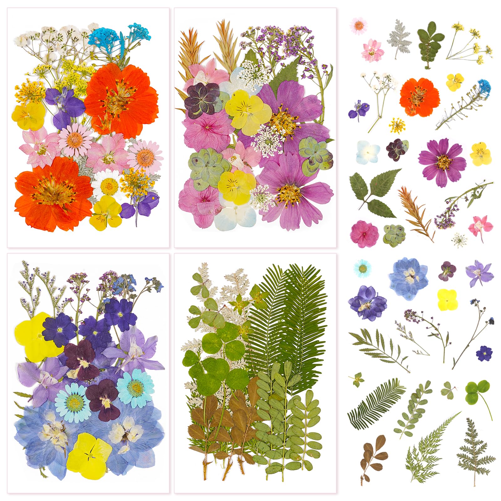 Pressed Flower Jar | Pressed Flower Crafts, Flowers N Jars, Pressed