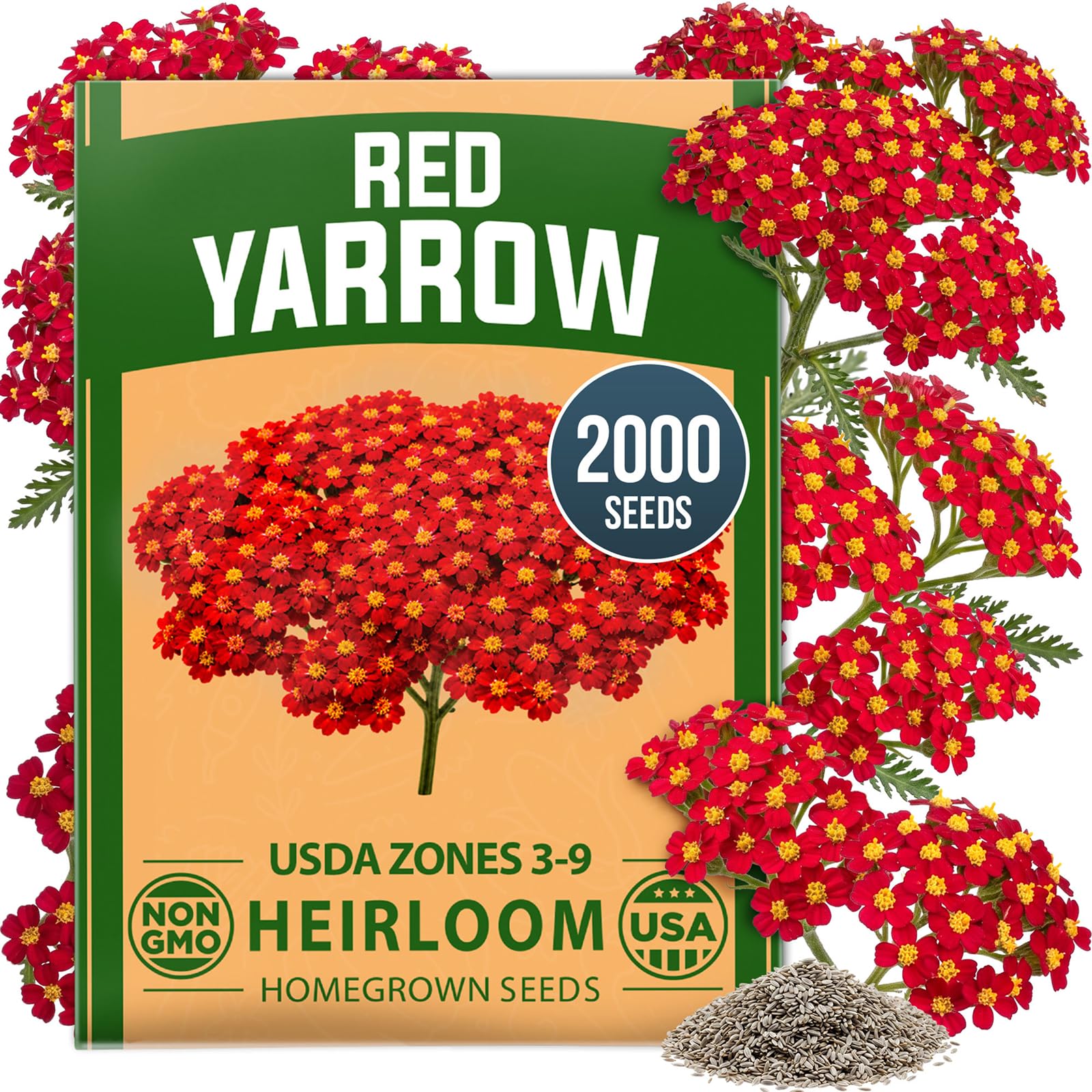 HOME GROWN Red Yarrow Seeds, 2,000 Seeds, Achillea millefolium