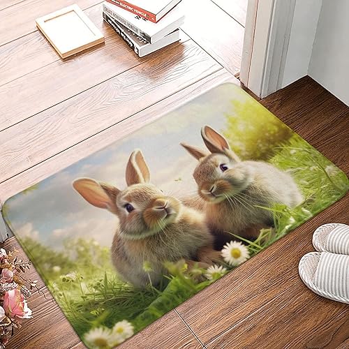 Miniatura 11 de Tapetes antideslizantes para puerta delantera, 15.7 x 23.6 pulgadas, colección retro y fresca, para interiores y exteriores, tapete de bienvenida