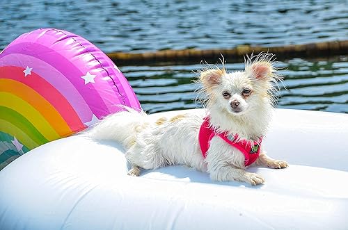 Miniatura 5 de EcoBark - Arnés ecológico reflectante de malla para cachorros y perros de razas pequeñas, pechera suave, ajustable, acolchada y fácil de poner,