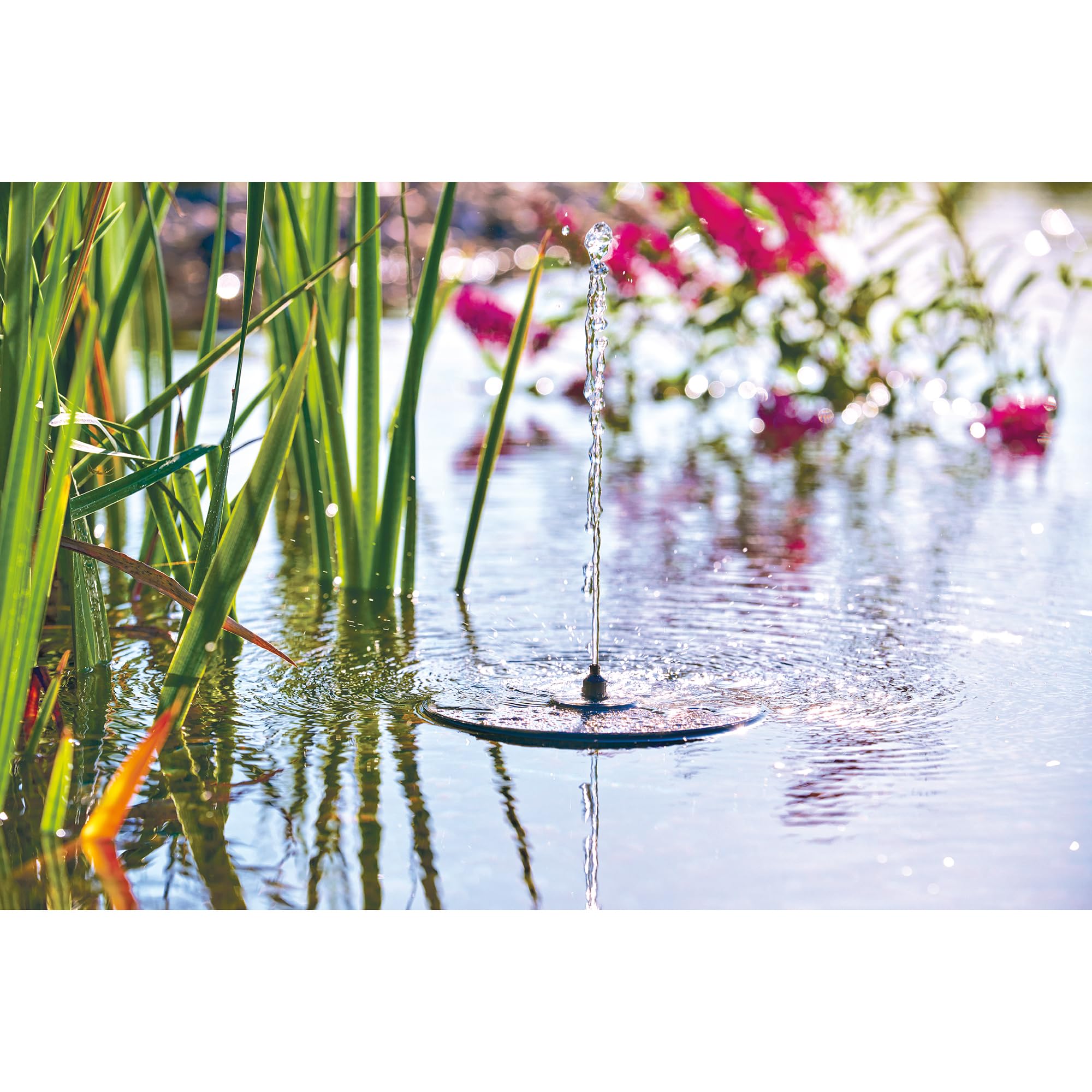 Pontec PondoSolar LED Island Pompe de jeu d'eau solaire avec LED et batterie Fontaine solaire pour étang et petit jardin