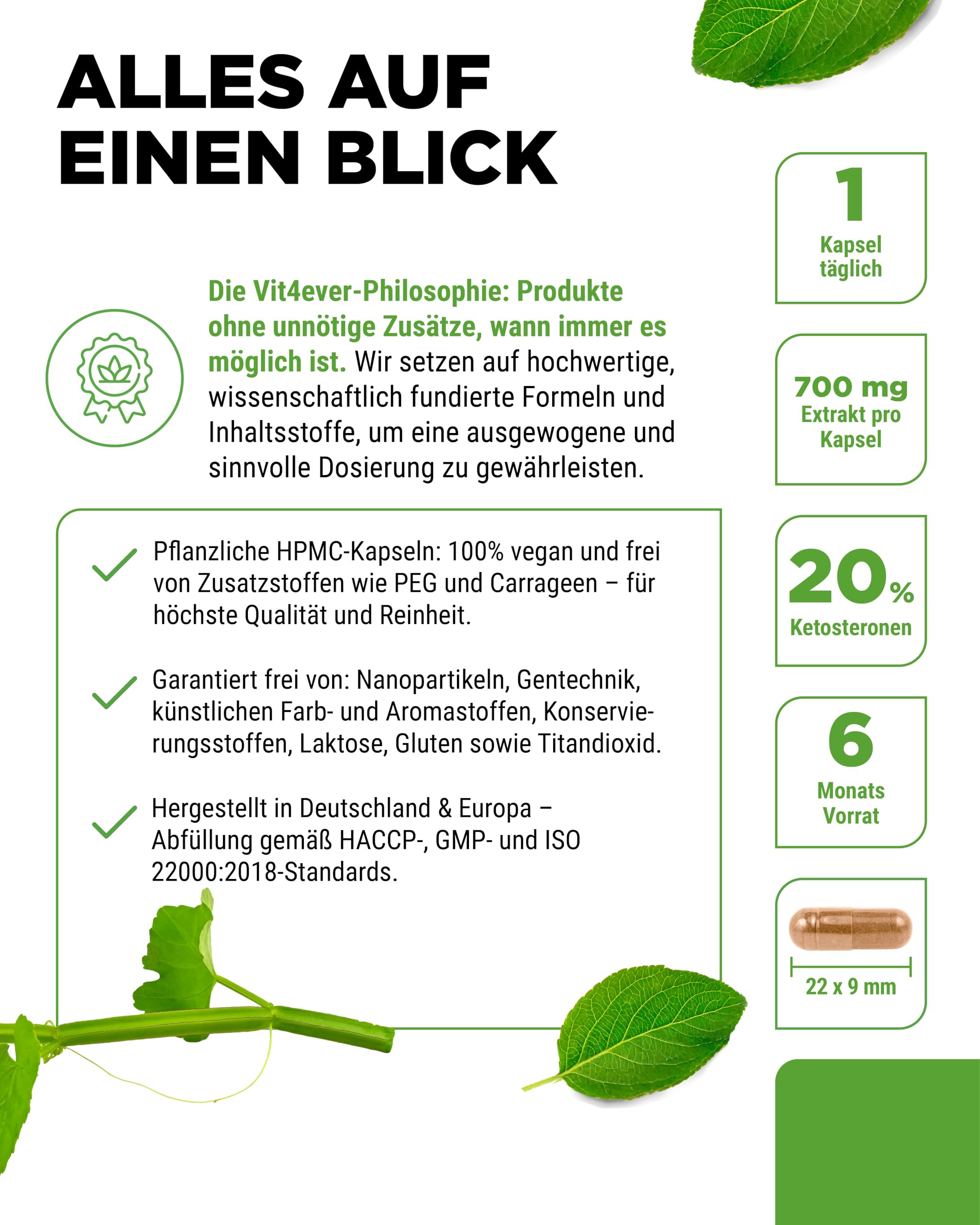 vit4ever Cissus Quadrangularis - 180 Kapseln - 700mg - 20% Ketosterone | 700mg Extrakt pro Kapsel, 140mg Ketosterone, 6 Monate Vorrat