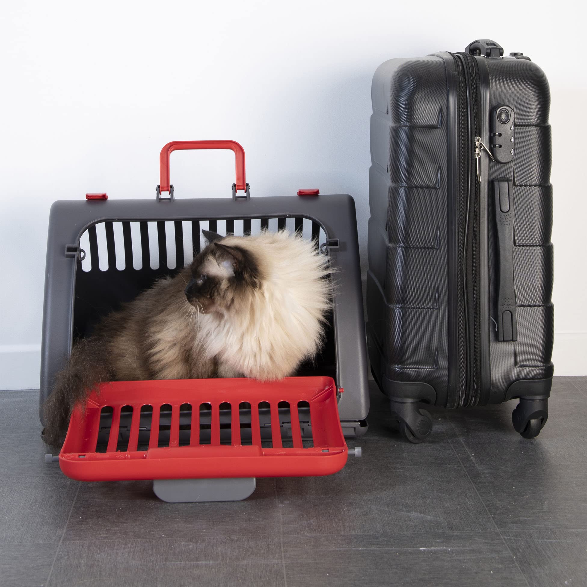 Love Story, Caisse de Transport Pliable Plastique 46 x 35 x H33 cm Anthracite Rouge