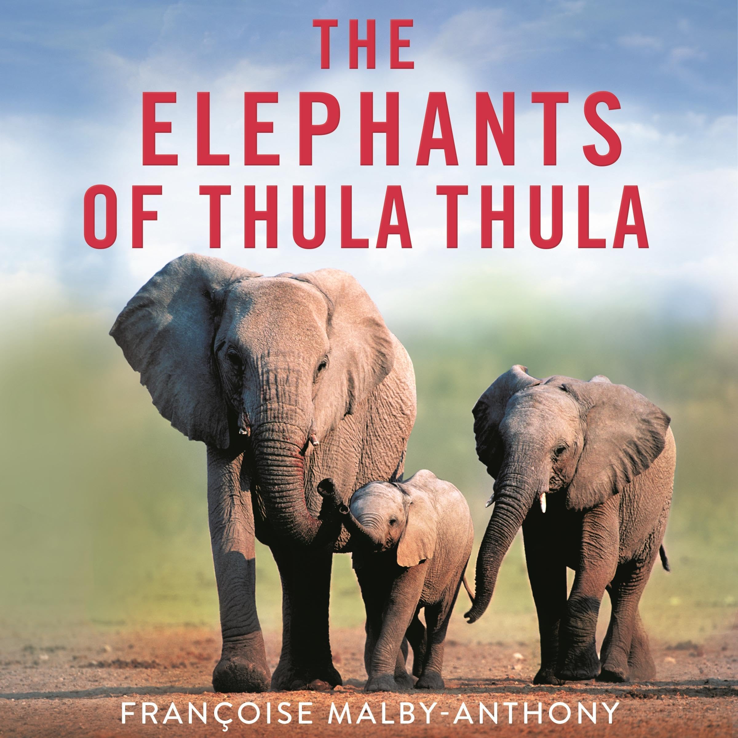 The Elephants of Thula Thula