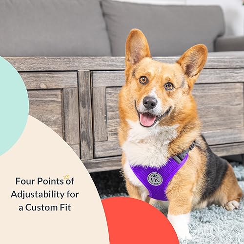 Miniatura 4 de Huxley & Kent Scout LoPro - Arnés para caminar y entrenar, color morado (extra grande, 40-70 libras), arnés de malla fácil de controlar para perros