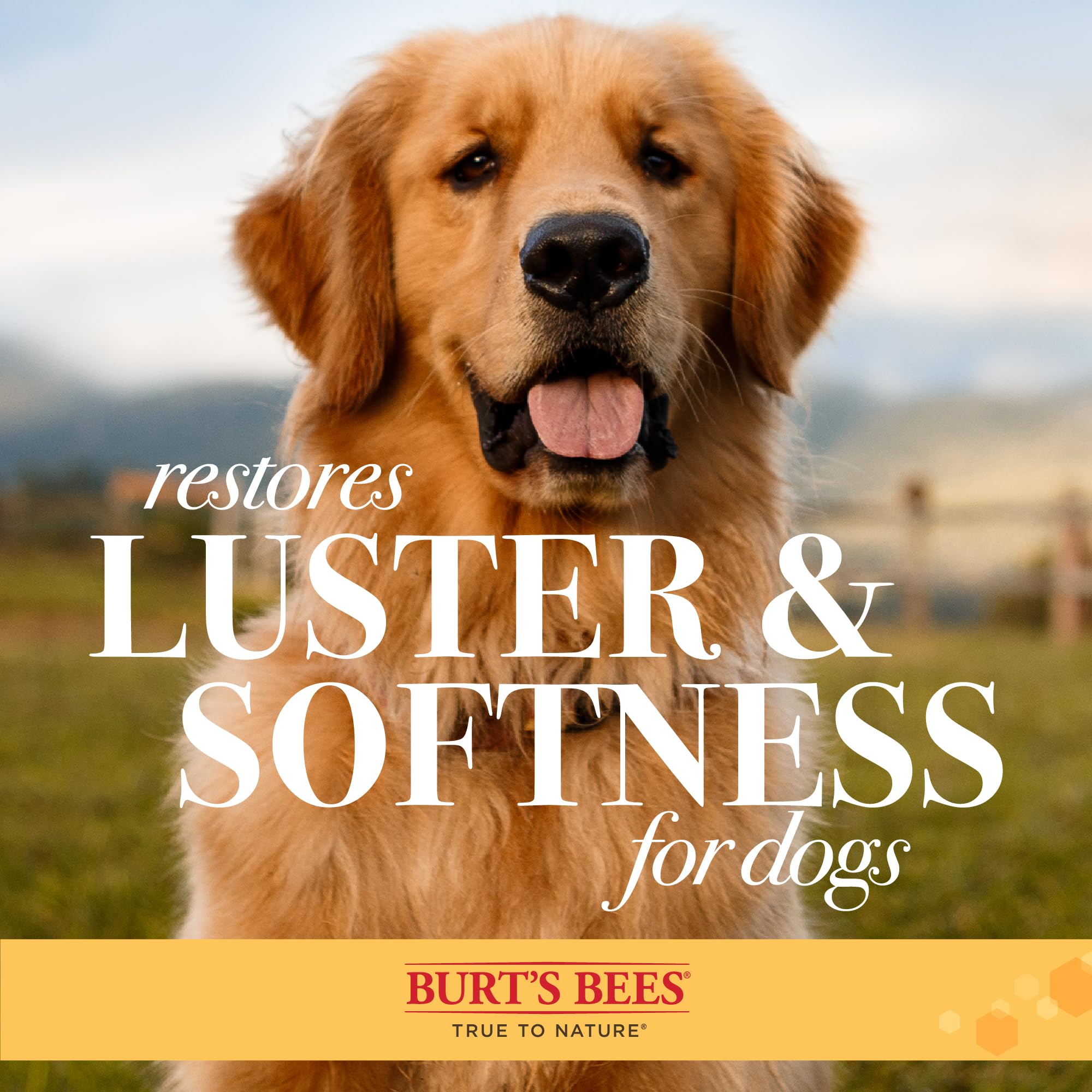 Burt's Bees for Pets Cepillo de palma con cerdas de cáñamo, cepillo ergonómico para perros grandes, mango fácil de sostener que reduce el estrés en la muñeca, ideal para el aseo diario, paquete de 2