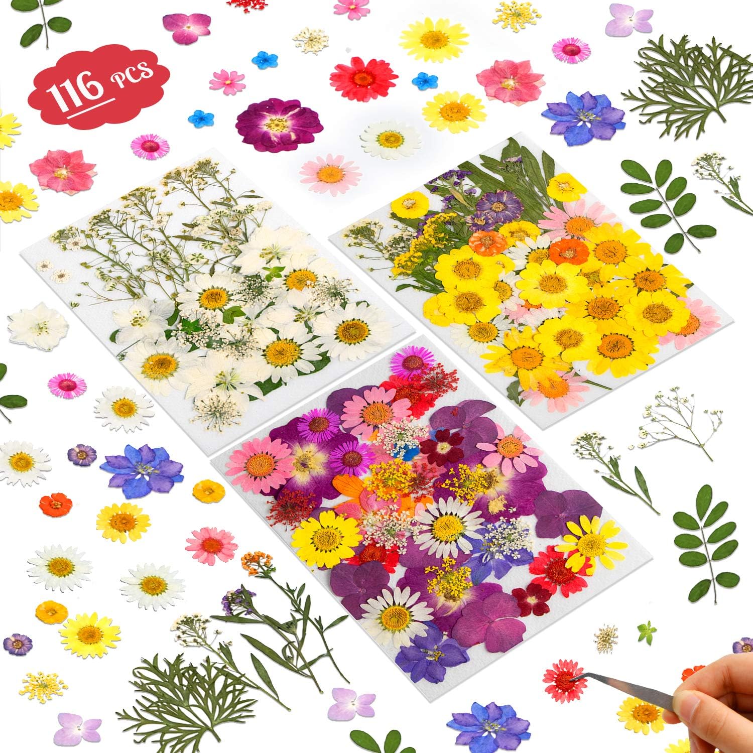 YRYM HT Dried Flowers-116 PCS Natural Dried Flower Herbs Kit for Bath, Soap Making, Candle Making and Resin Jewelry Making Art Floral Decors