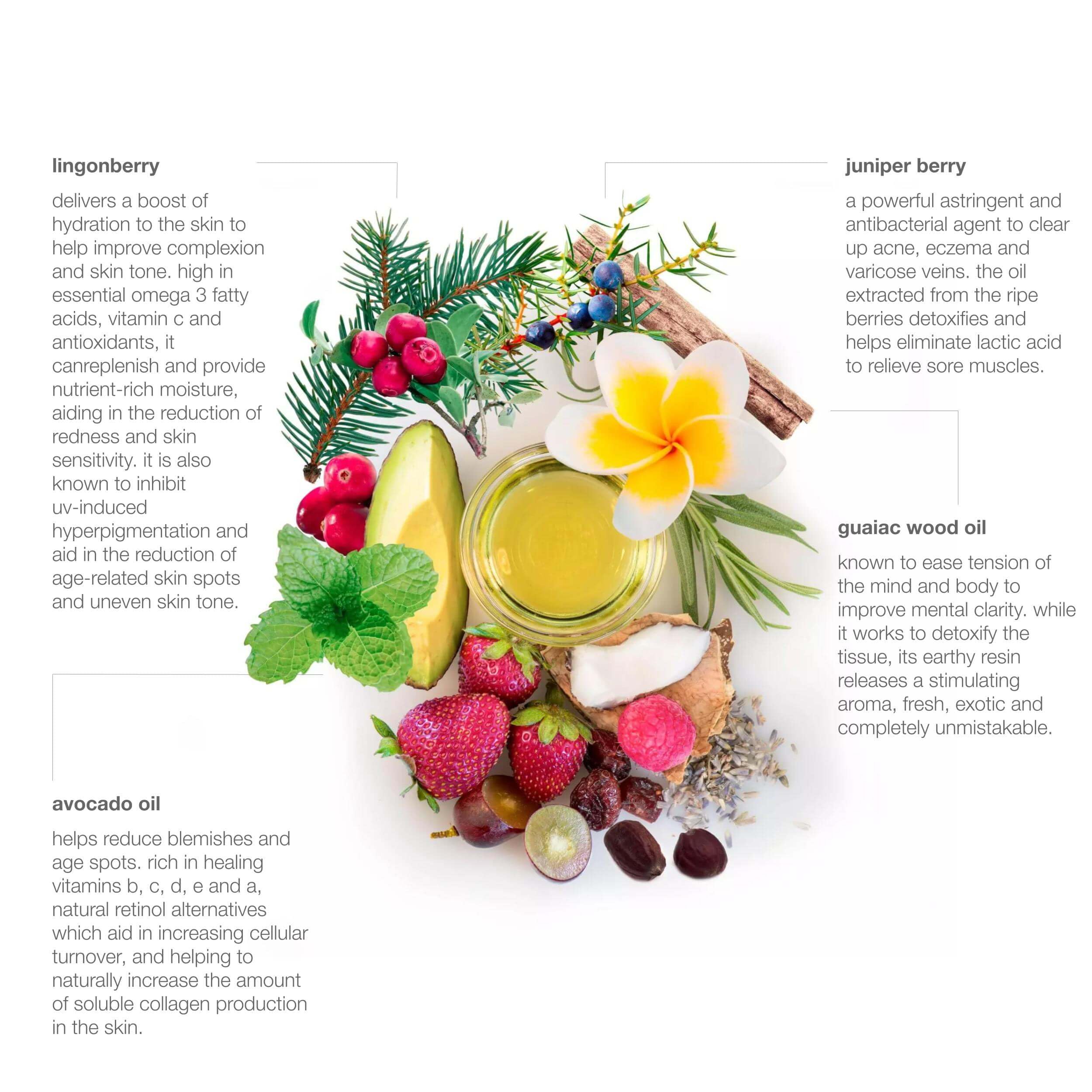 Red Flower Essential Omega Fresh Berry Oil Serum | Deep Hydration & Collagen Support | Arctic Berry Antioxidants | Vitamin C & Omega-3 Serum | Skin Nourishment & Radiance Boost | 2.4 fl oz
