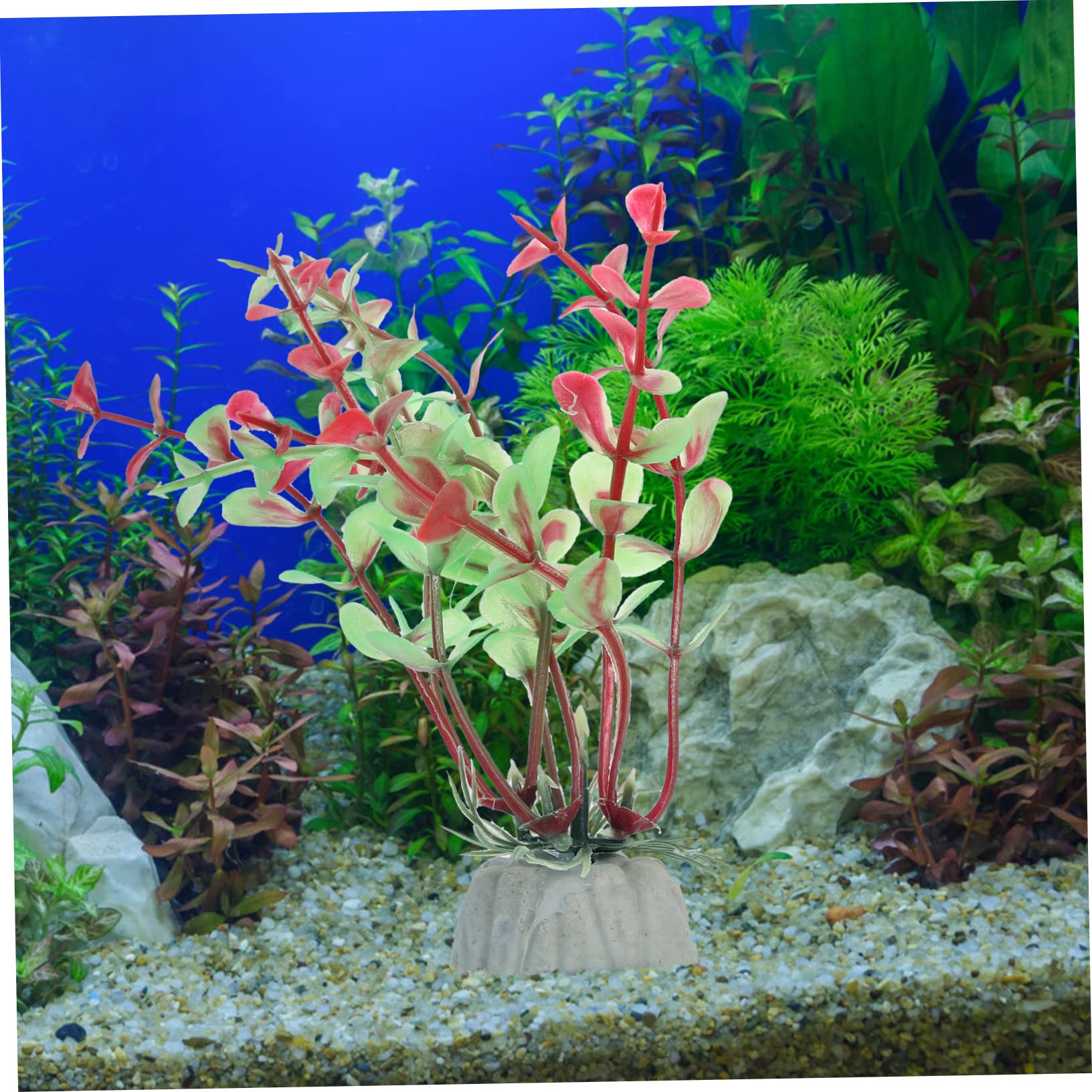 Toddmomy 4ensembles Set De Plantes Aquatiques Artificielles Pour Aquarium Décoration De Poissons Végétation Naturelle Accessoires De Pour Réservoirs Eau