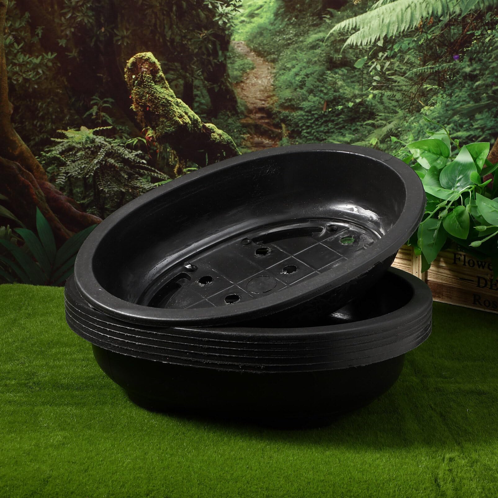 Kisangel Macetas Grandes De Plástico para Entrenamiento De Bonsái 6 Uds. Maceta para Cultivo De Plantas Bonsái Maceta Ovalada para Vivero con Agujeros De Drenaje Maceta Ovalada De Plástico