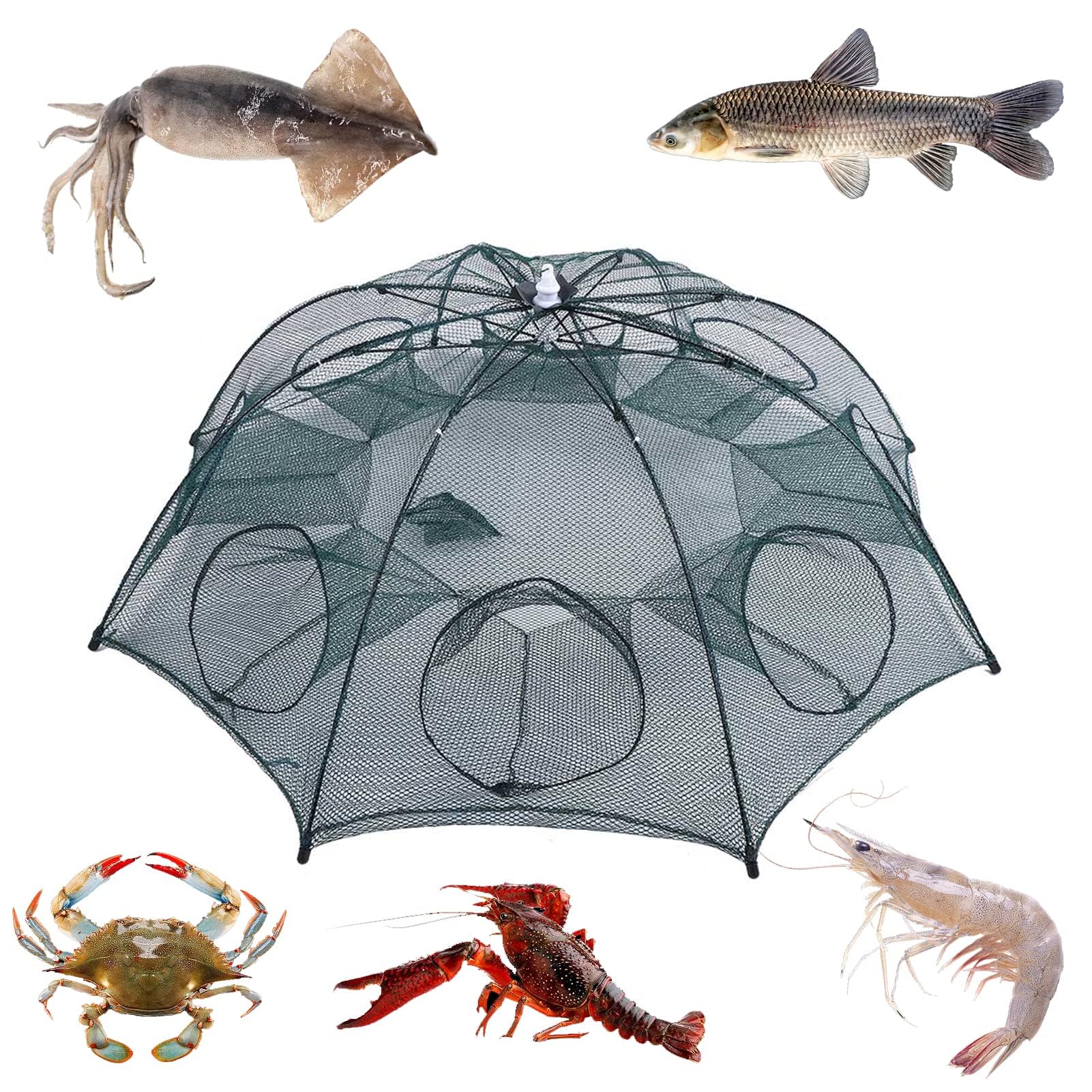 plplaaoo Red de Trampa de Pesca Port¨¢Til,Red de Pesca, 8 Agujeros Trampas Peces de Malla de Pesca Red de Pesca Plegable de Nailon para atrapar anguilas cangrejos, Langostas, camarones y cangrejos