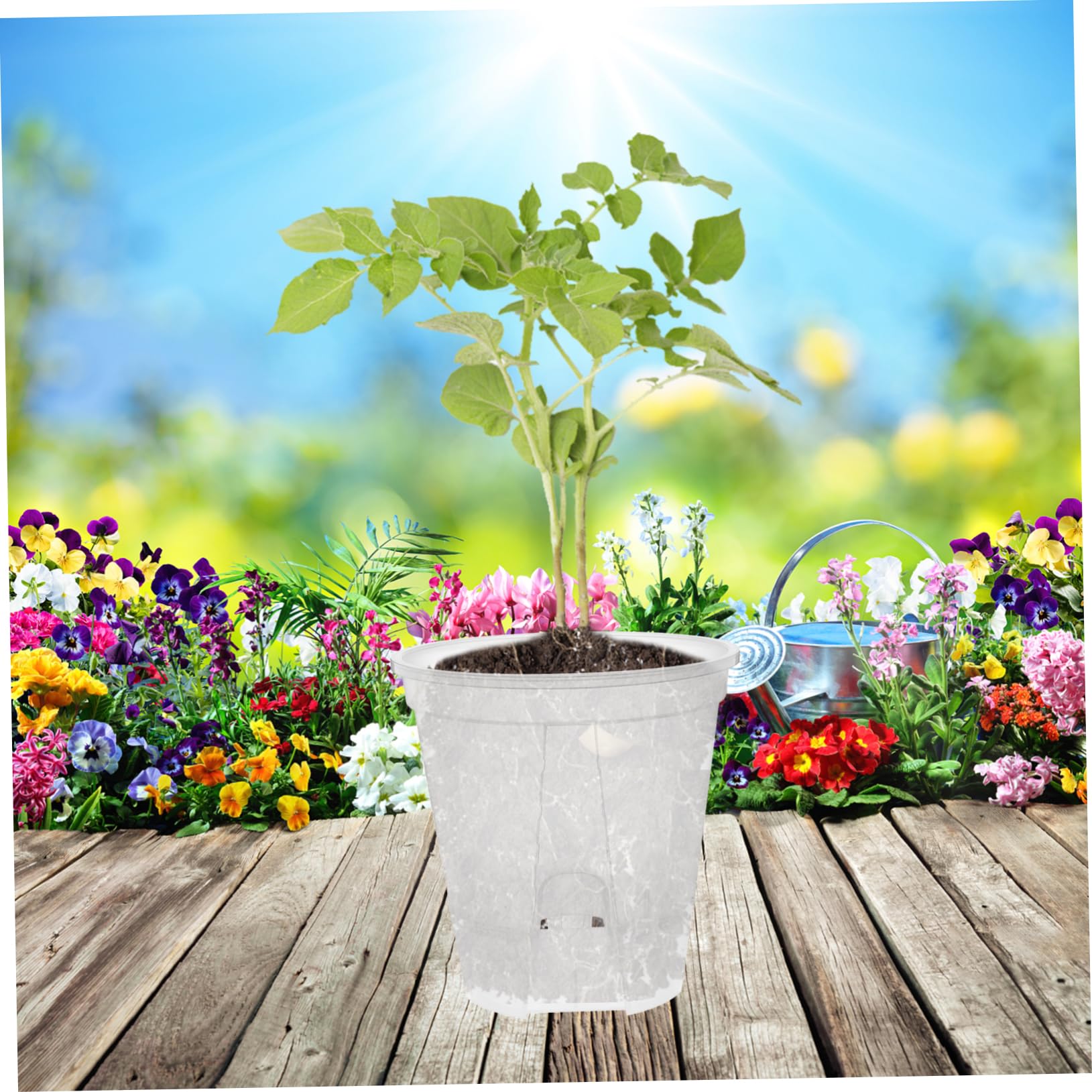 HEMOTON 6 Pièces Pots de Fleurs Transparent avec Drainage Auto Régulant Pots Plastique Clair pour Plantes Intérieur pour Orchidées et Autres Plantes Design Respirant et Portable