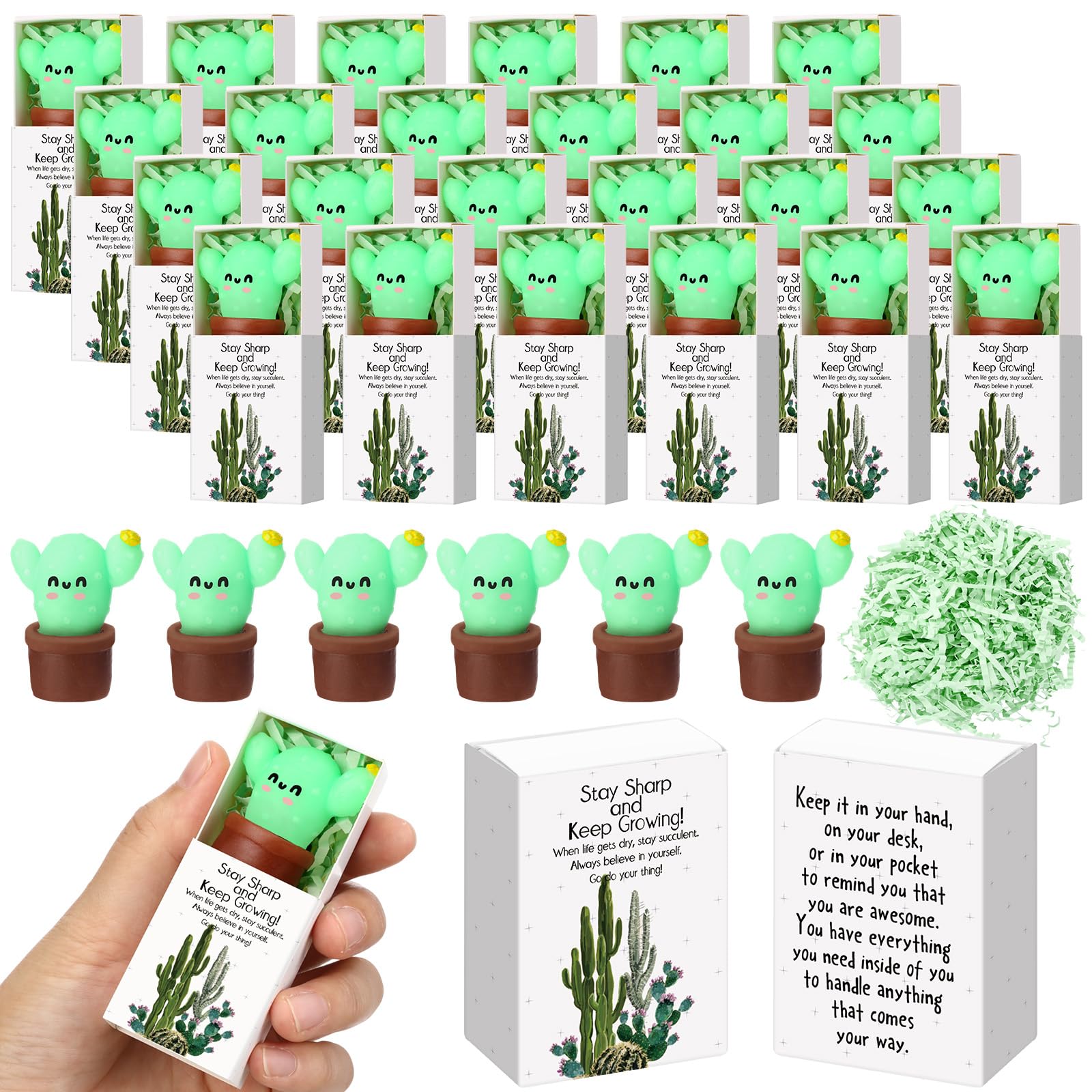 Wettarn cactus stress balls