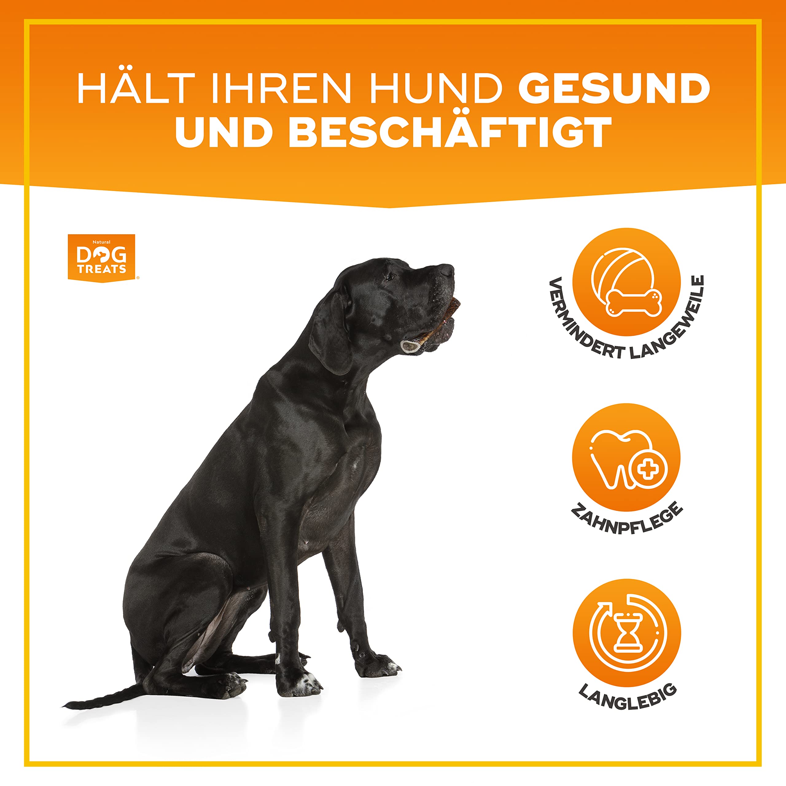 Produktbild von Kauknochen Set Aus Naturgeweih Für Hunde – 2 Stück, L Größe 14-22 Cm, Getreidefrei & Langlebig