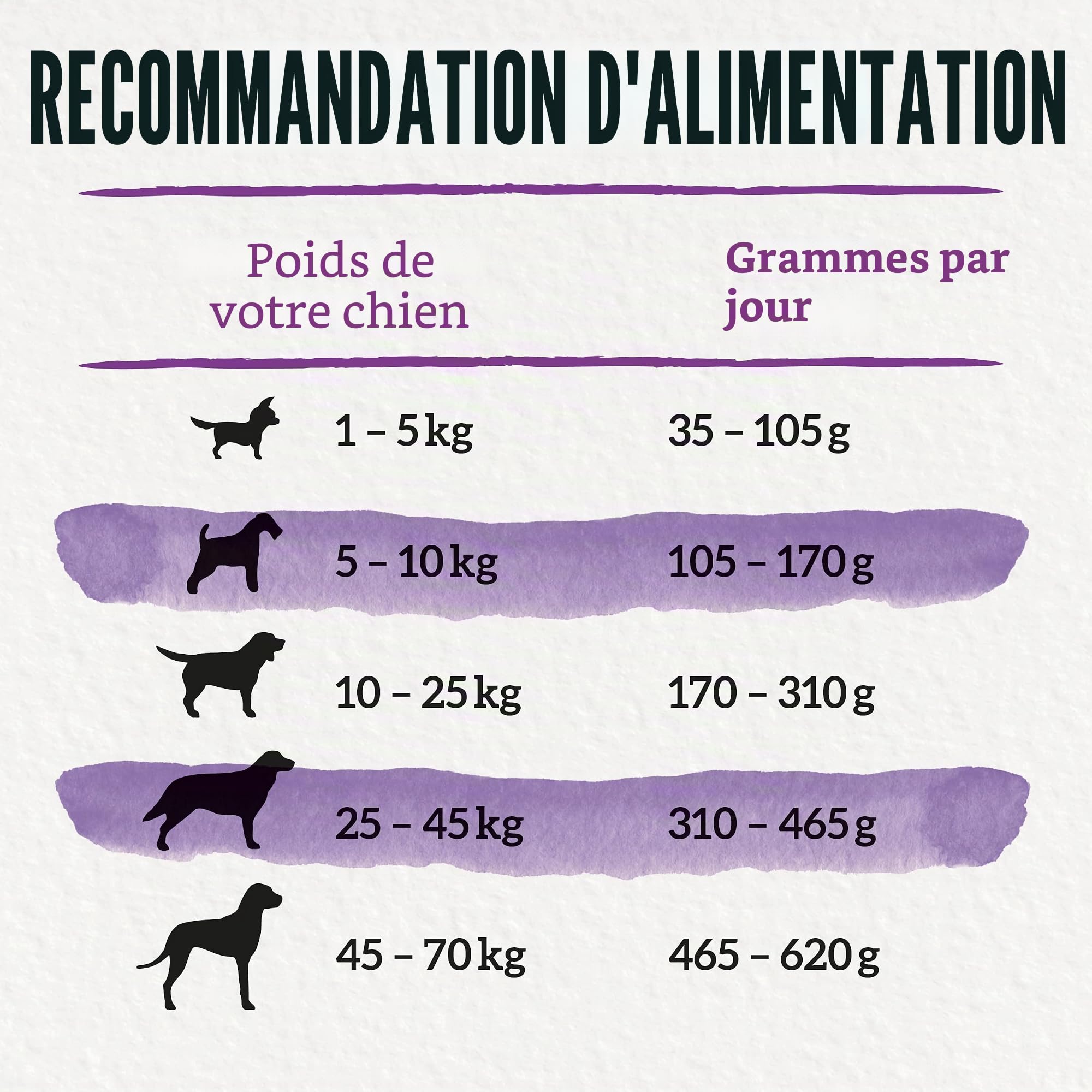 Beneful Glückliche Jahre 7+ Senior Nourriture sèche pour Chien avec Poulet et légumes du Jardin, 1 Paquet (1 x 12 kg)
