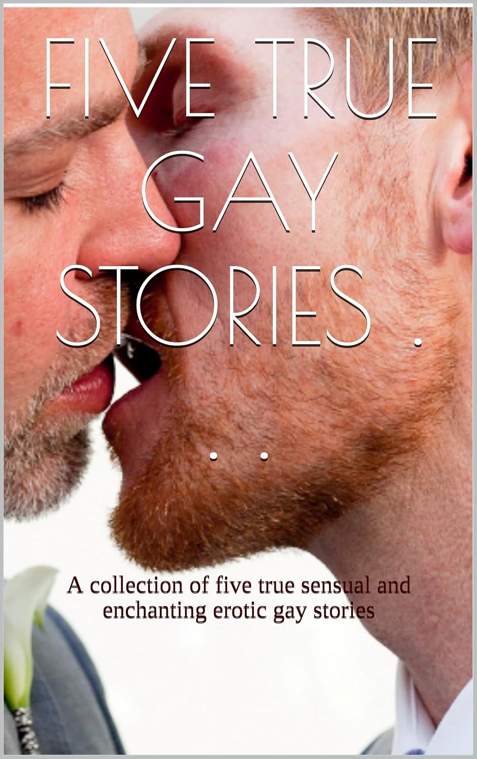 amazon-co-jp-five-true-gay-stories-a-collection-of-five-true