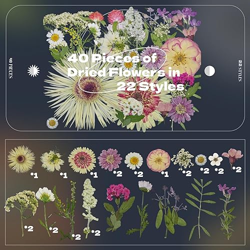 Miniatura 2 de CONVELIFE Flores secas prensadas blancas, juego de 40 piezas de flores naturales reales con pinzas, flores prensadas para resina, bricolaje,