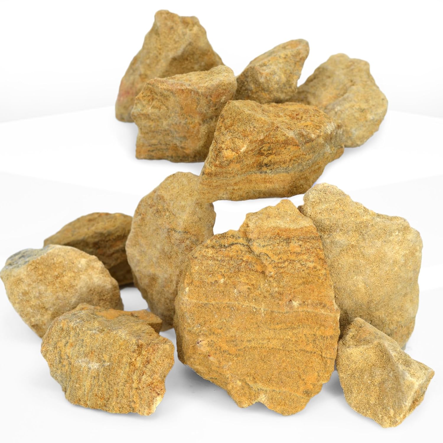 EISCO 12PK Raw Dolostone, Sedimentary Rocks - Approx. 1" - Geologist Selected & Hand Processed - Great for Science Classrooms - Class Pack