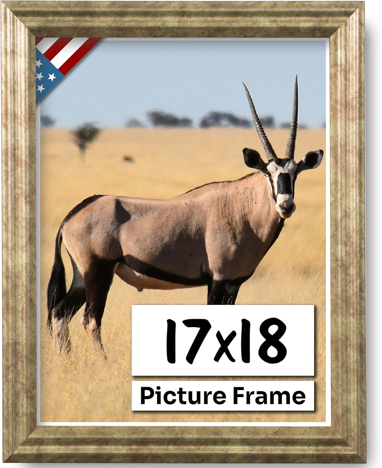 Desert Brass 17x18 Picture Frame .75" Inch Wide - Beige Olive Wall Decor Handmade Solid Wood Frames with Preinstalled Hangers and UV Blocking Plexiglass 18x17 Frame