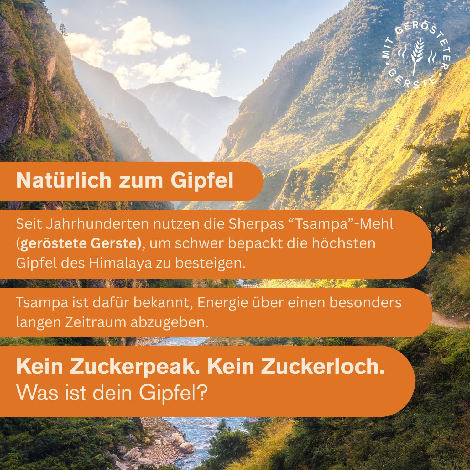 Best of TZAMPAS Mix Box Groß (16x40g) - Energieriegel aus gerösteter Gerste in der Snack Box - Power Riegel | Energieriegel geeignet für Radsport und Trailrunning - Bio Riegel vegan & ohne Zusätze