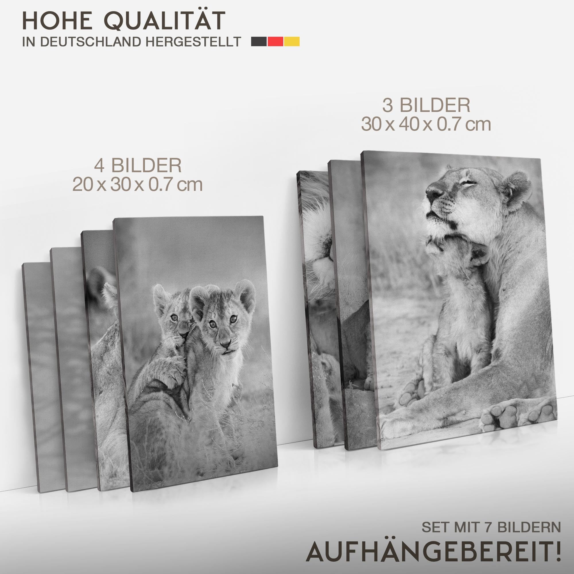 Novart Wandbilder Löwen Afrika Tiere - KOMPLETT AUFHÄNGFERTIG - Schwarz Weiss Wohnzimmer Schlafzimmer Flur - 7 Moderne Mood-Bilder - N036271b