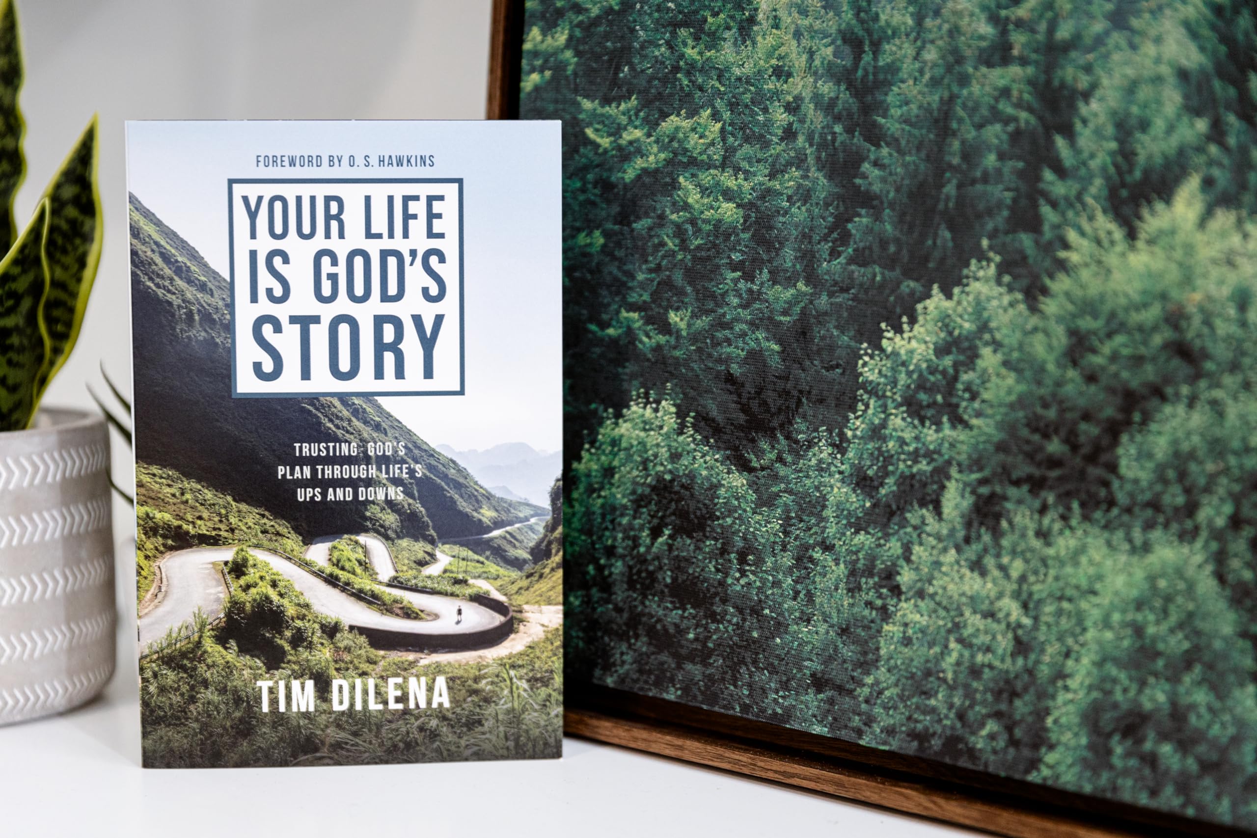 Your Life is God's Story: Trusting God's Plan Through Life's Ups and Downs - Image 5