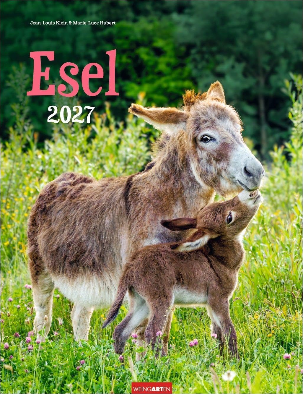 Esel Kalender 2027: Jahres-Wandkalender mit Fotos von Jean-Louis Klein und Marie-Luce Hubert. Tierkalender mit süßen Eselfotos. Planer mit Platz zum Eintragen. Hochformat 30x39 cm
