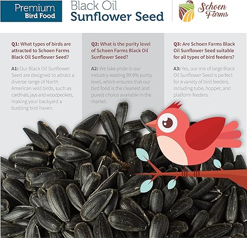Miniatura 5 de Schoen Farms Semillas de girasol de aceite negro para pájaros (6 libras)