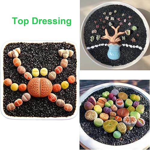 Miniatura 4 de Suculentas y cactus de arena negra, decoración y aditivos, piedras diminutas de 5 libras, grava para bonsái, jardinería de hadas, terrario, rellenos