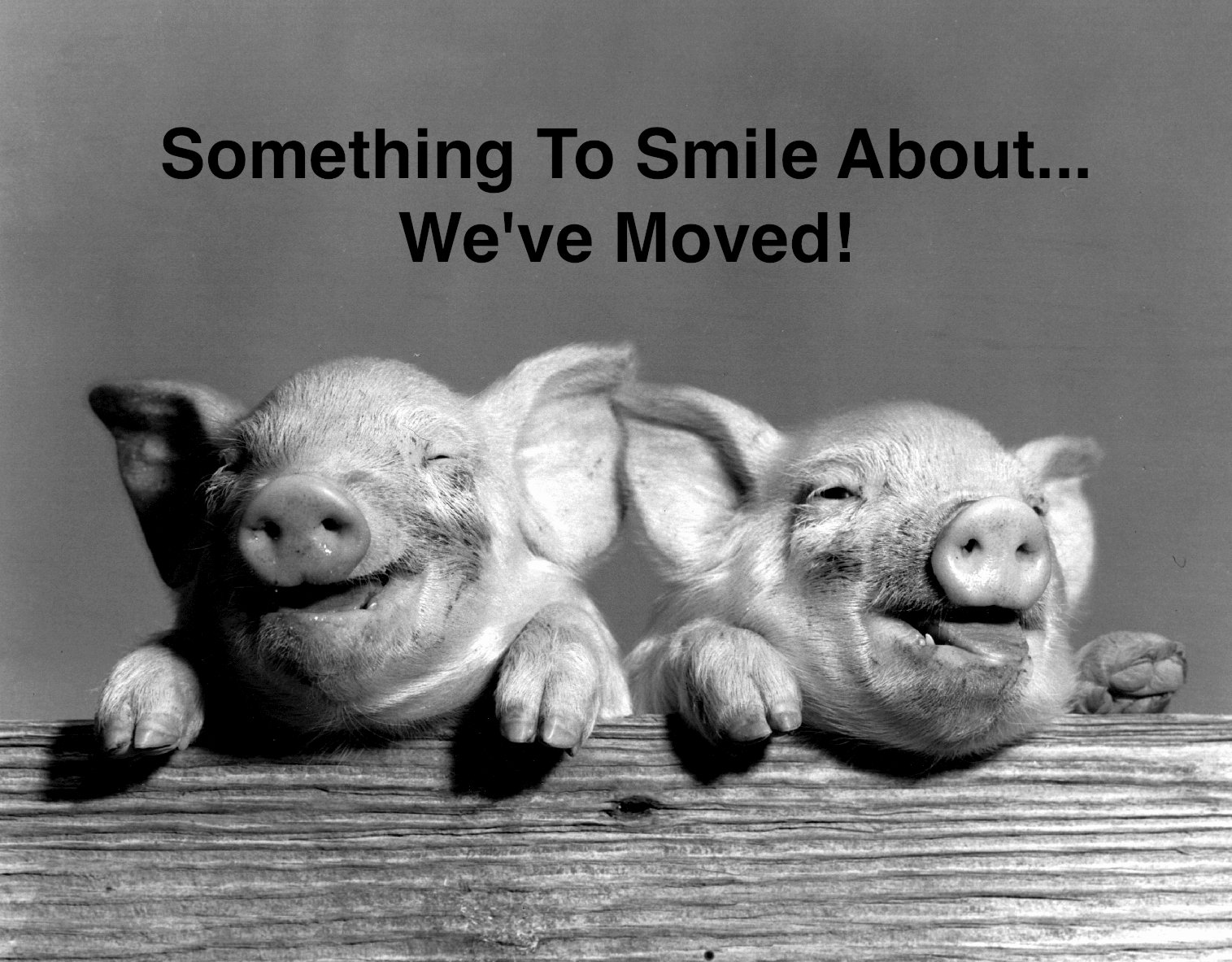 Change of Address POSTCARDS, We've Moved! (Pack of 10) Moving Announcements FPC027CA