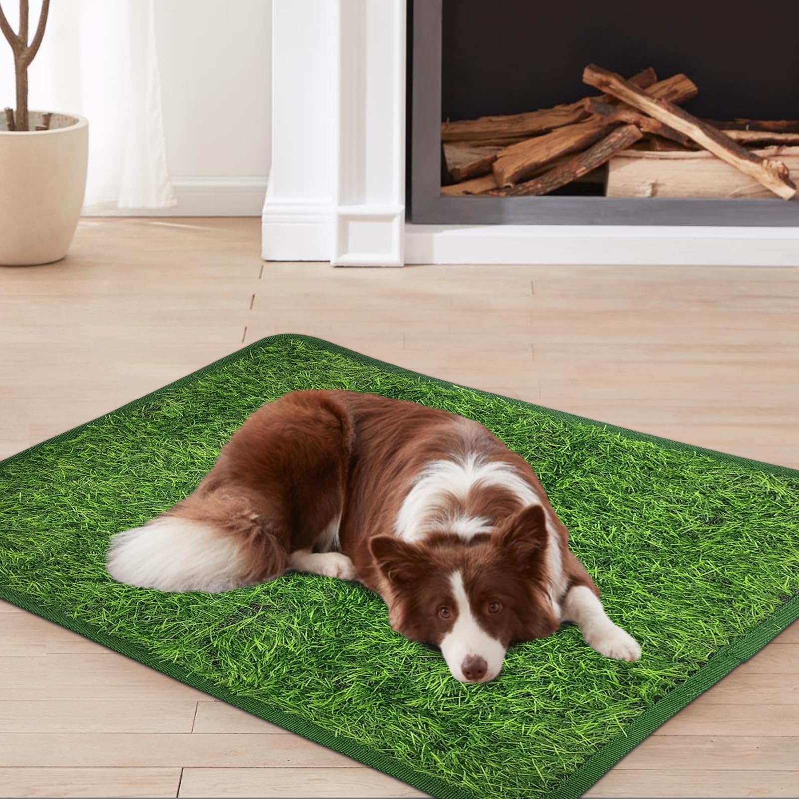 PICK FOR LIFE Tappetini Erba Artificiale Per Cani - 2 Pezzi 35,5x46 Cm, Per Addestramento Vasino - Foto 5