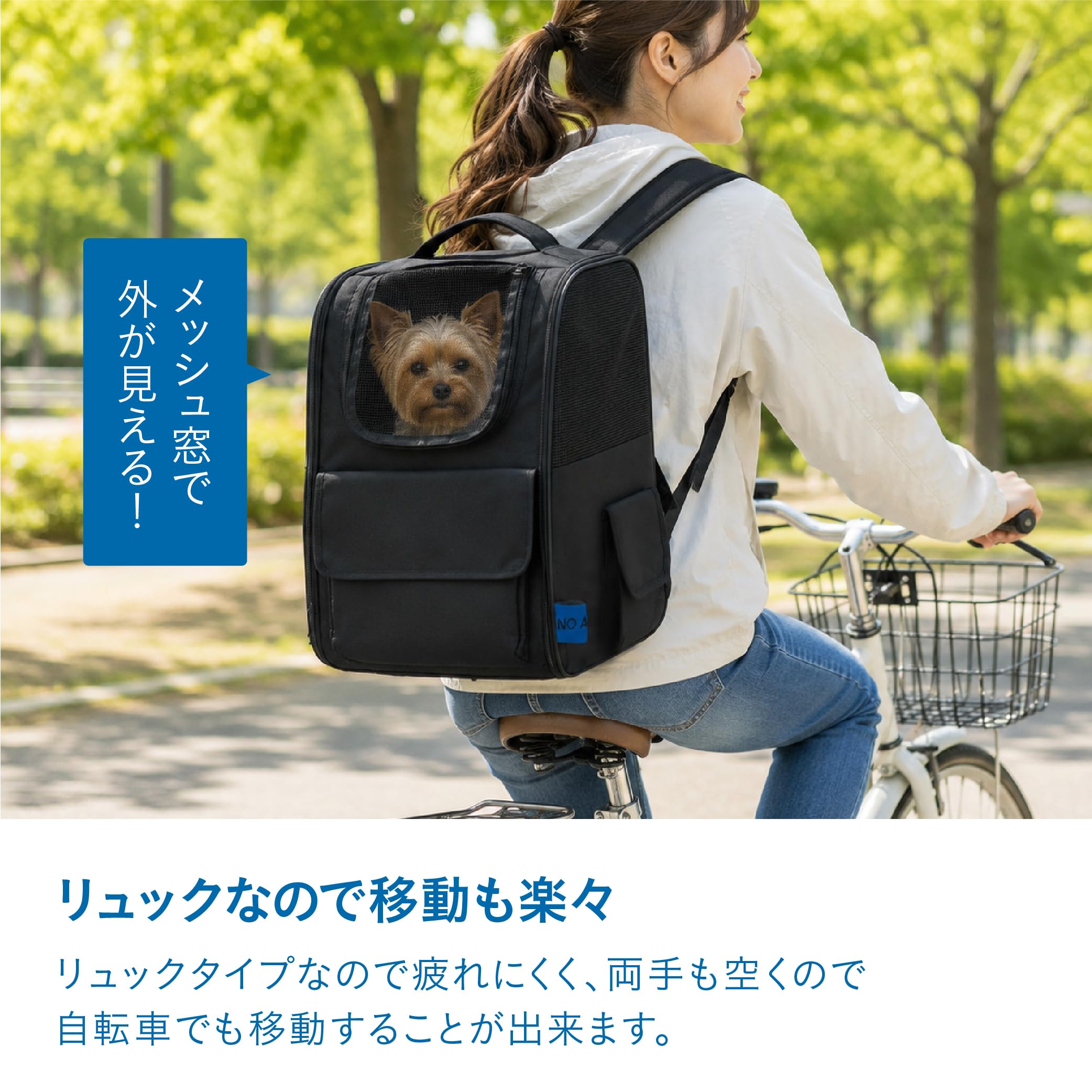 Amazon.co.jp: シービージャパン ペットリュック 折り畳み メッシュ窓